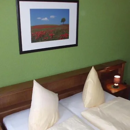 Garni Am Thueringer Klosstheater 3*